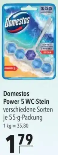 CITTI Markt Domestos Power 5 WC-Stein Angebot