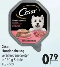CITTI Markt Cesar Hundenahrung Angebot
