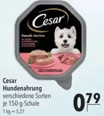 CITTI Markt Cesar Hundenahrung Angebot