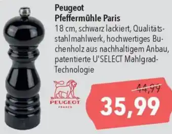 CITTI Markt Peugeot Pfeffermühle Paris Angebot