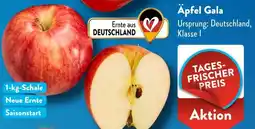 Aldi Süd Äpfel Gala Angebot