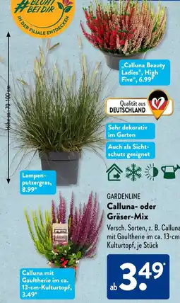 Aldi Süd GARDENLINE Calluna oder Gräser-Mix Angebot