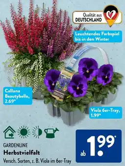 Aldi Süd GARDENLINE Herbstvielfalt Angebot