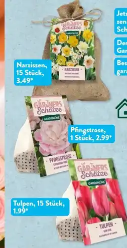Aldi Süd Gärtners Schätze Blumenzwiebeln Angebot