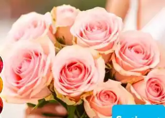 Aldi Süd Fairtrade-Rosen Angebot
