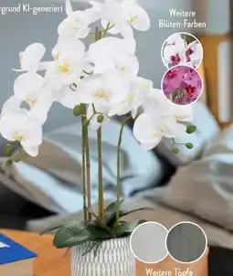 Aldi Süd Home Creation Naturgetreue Orchidee Angebot