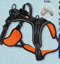 Aldi Süd Martin Rütter Hunde-Geschirr Angebot