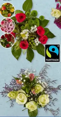 Aldi Süd Fairtrade Petit-Strauß Angebot