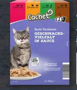 Aldi Süd Cachet Katzennassfutter Angebot