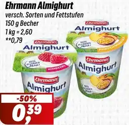 Simmel Ehrmann Almighurt Angebot