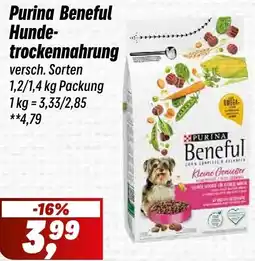 Simmel Purina Beneful Hundetrockennahrung Angebot