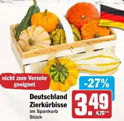 AEZ Deutschland Zierkürbisse Angebot