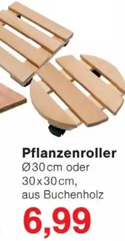 Wiglo Wunderland Pflanzenroller Angebot