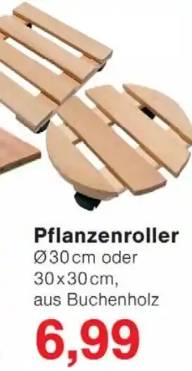 Wiglo Wunderland Pflanzenroller Angebot