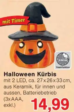 Wiglo Wunderland Halloween Kürbis Angebot