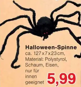 Wiglo Wunderland Halloween-Spinne Angebot