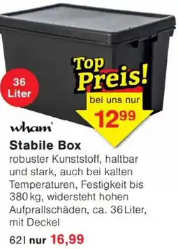 Wiglo Wunderland wham Stabile Box Angebot