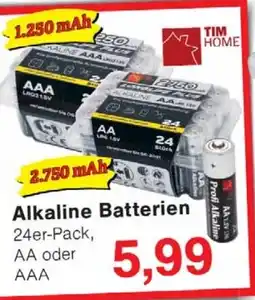 Wiglo Wunderland TIM HOME Alkaline Batterien Angebot