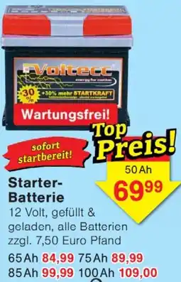 Wiglo Wunderland Starter Batterie Angebot