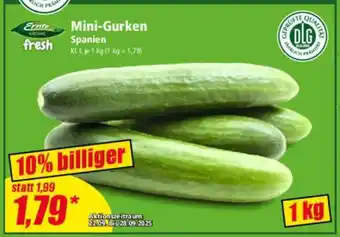 Norma Mini-Gurken Angebot