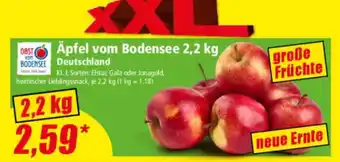 Norma Äpfel vom Bodensee 2,2 kg Angebot