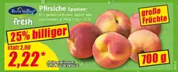 Norma Pfirsiche Spanien Angebot
