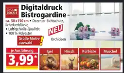 Norma Digitaldruck Bistrogardine Angebot