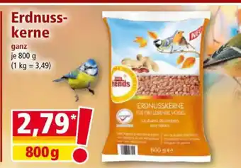 Norma Erdnusskerne Angebot