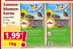 Norma Sonnenblumenkerne Angebot