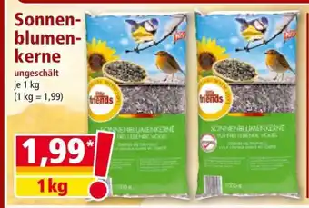 Norma Sonnenblumenkerne Angebot