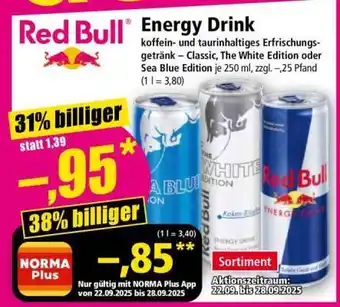 Norma Red Bull Energy Drink Angebot