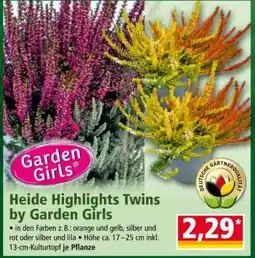 Norma Heide Highlights Twins by Garden Girls Angebot