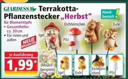 Norma Terrakotta-Pflanzenstecker „Herbst“ Angebot
