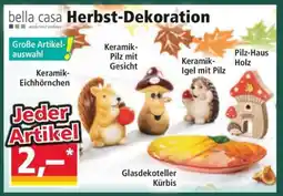 Norma Herbst-Dekoration Angebot
