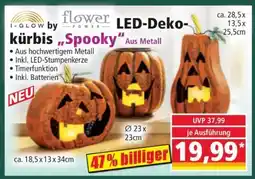 Norma LED-Deko-kürbis Spooky Angebot