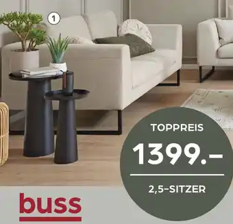 Möbel Buss 2,5-sitzer Angebot