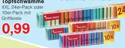 Wiglo Wunderland PAUL KOCH Topfschwämme Angebot