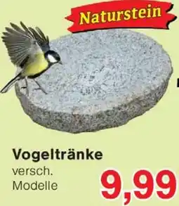Wiglo Wunderland Vogeltränke Angebot