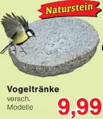 Wiglo Wunderland Vogeltränke Angebot