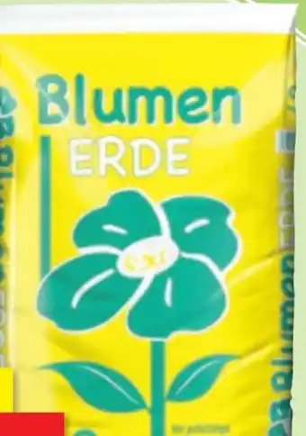 Thomas Philipps Blumenerde Angebot