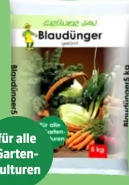 Thomas Philipps Grüner Jan Blaudünger Angebot