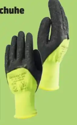 Thomas Philipps Grüner Jan Latex-Gartenhandschuhe Angebot