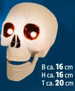Thomas Philipps Halloween-LED-Totenkopf Angebot