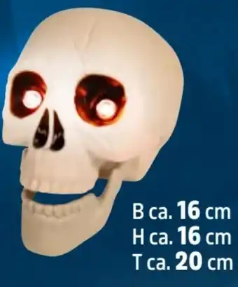 Thomas Philipps Halloween-LED-Totenkopf Angebot