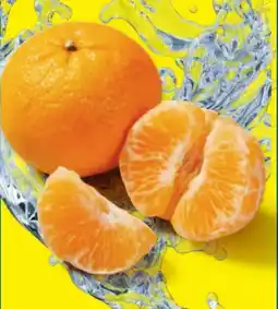 Lidl Mandarinen Angebot