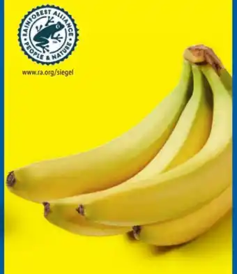 Lidl Bananen Angebot