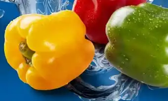 Lidl Paprika Mix Angebot