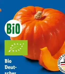 Lidl Bio Speisekürbisse Hokkaido Angebot