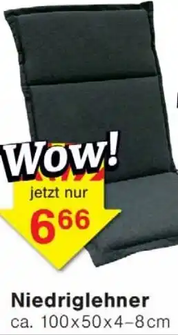 Wiglo Wunderland Niedriglehner Angebot