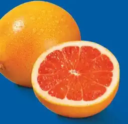 Lidl Grapefruit Angebot